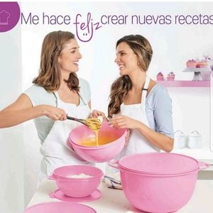 Set of Pink Tupperware Mixing Bow…